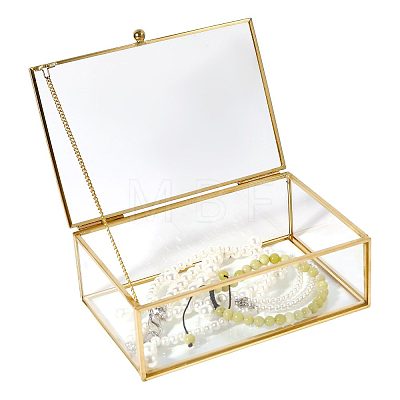 Transparent Glass Jewelry Organizer Display Cases with Metal Frame AJEW-WH0410-465B-1