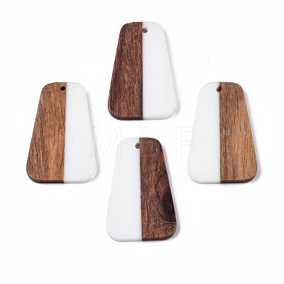 Resin & Wood Pendants RESI-N025-021-1