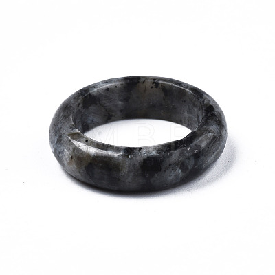 Natural Black Larvikite Plain Band Ring G-N0326-99C-1