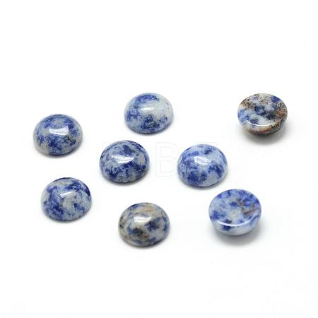 Natural Blue Spot Jasper Cabochons G-T020-6mm-03-1