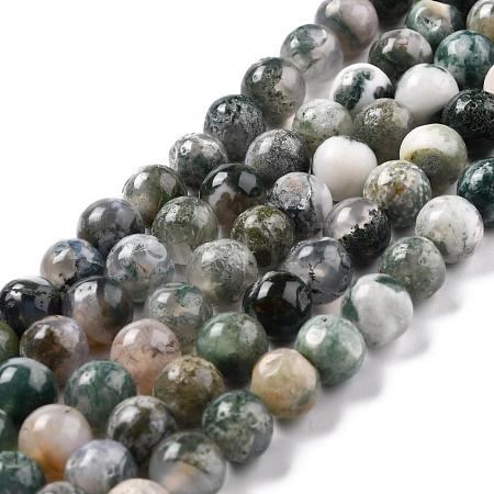 Natural Tree Agate Beads Strands G-I199-03-8mm-1