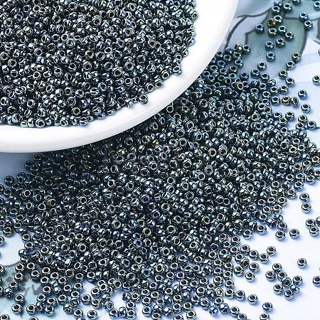 MIYUKI Round Rocailles Beads X-SEED-G007-RR0456-1