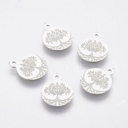 Non-Tarnish 304 Stainless Steel Charms STAS-G174-07P-1