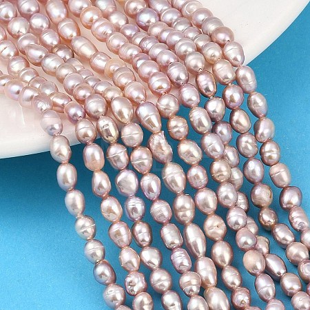 Natural Cultured Freshwater Pearl Beads Strands PEAR-F020-26C-1