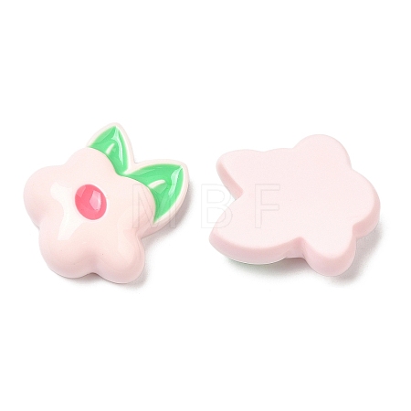Opaque Resin Fruit Cabochons RESI-G072-02G-1