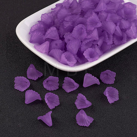 Transparent Acrylic Beads PL622-C17-1