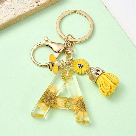 Resin & Alloy Enamel Keychain X1-KEYC-YW00134-01-1