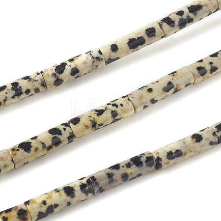 Natural Dalmatian Jasper Beads Strands X-G-F247-21-1