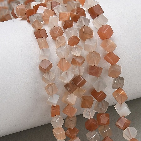Natural Moonstone Beads Strands G-L650-M01-01-1
