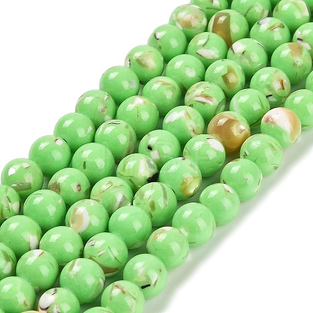Assembled Synthetic Stone and Trochus Shell Beads Strands G-B128-08B-07-1