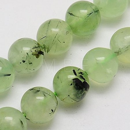Natural Prehnite Beads Strands X-G-G457-10mm-03-1