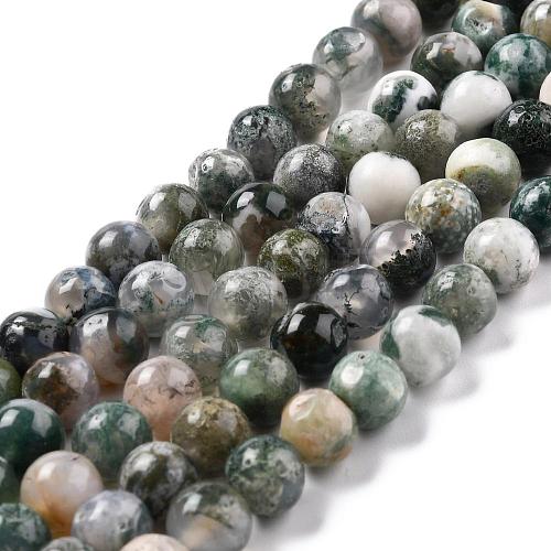 Natural Tree Agate Beads Strands G-I199-03-8mm-1