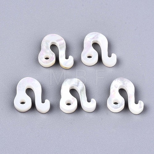 Natural White Shell Beads SSHEL-ZX004-02J-1