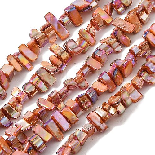 Natural Freshwater Shell Beads Strands BSHE-H018-07D-1