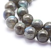 Natural Labradorite Beads Strands G-O166-08-10mm-3