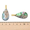 Natural Paua Shell/Abalone Shell Pendants PALLOY-JF05570-3