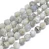 Natural Labradorite Beads Strands G-N0313-08-8mm-1