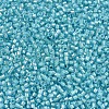 MIYUKI Delica Beads X-SEED-J020-DB1708-3