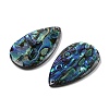 Natural Paua Shell Pendants SSHEL-I026-08B-2