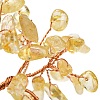Heated Natural Citrine Chips Tree of Life Display Decorations GG-CBACC2B-01A-3