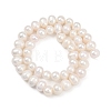 Natural Cultured Freshwater Pearl Beads Strands PEAR-I007-07X-11A-3