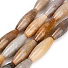 Natural Fossil Coral Beads Strands GG-CBA362F-03-2