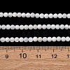Natural Freshwater Shell Beads Strands SH-CBA2978-07D-01-4