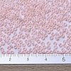 MIYUKI Round Rocailles Beads X-SEED-G007-RR0427-4