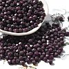 Baking Paint Glass Seed Beads SEED-A032-02A-17-1