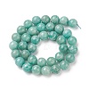 Natural Amazonite Beads Strands G-F461-12-10mm-01-2