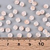 Frosted Glass Seed Beads SEED-N012-01G-4