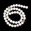 Round Natural Magnesite Beads Strands G-M138-42-A-5