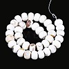 Dyed Natural Agate Beads Strands G-T144-26A-2