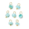 Dyed Natural Freshwater Shell Nuggets Charms PALLOY-JF05032-01-1