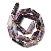 Natural Lepidolite/Purple Mica Stone Beads Strands G-D353-A17-3