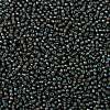 TOHO Round Seed Beads X-SEED-TR08-0383-2