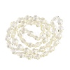 Transparent Glass Beads Strands DGLA-N021-02A-10-2