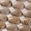 Natural Fossil Coral Cabochons X-G-J329-20-18x25mm-1