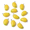 Fruit Theme Resin Pendants RESI-D018-01P-02-1