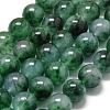 Natural Malaysia Jade Beads Strands G-L645-C01-14mm-03-1