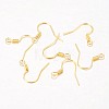 Iron Earring Hooks LS-X-E133-G-2