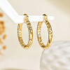 Brass Textured Rectangle Hoop Earrings TU9536-5-1