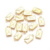 Alloy Charms LS-EA10711Y-NFG-1