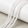 Natural Rainbow Moonstone Beads Strands G-H336-A13-02-1