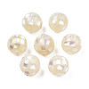 Natural White Shell Beads SHEL-N026-189B-05-2