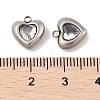 304 Stainless Steel Micro Pave Cubic Zirconia Charms STAS-S131-17P-04-3