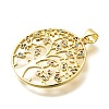Rack Plating Brass Micro Pave Cubic Zirconia Pendants KK-L226-051G-01-2