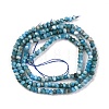 Natural Apatite Beads Strands G-F770-D09-02A-3