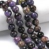 Natural Charoite Beads Strands G-C270-O03-12-1