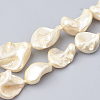 Shell Pearl Beads Strands X-BSHE-Q031-15H-1